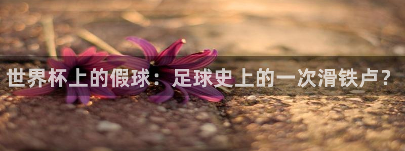 世界杯葡萄牙赛程：世界杯上的假球：足球史上的一次滑铁卢？