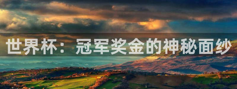 世界杯比赛：世界杯：冠军奖金的神秘面纱