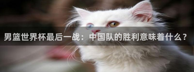 2026世界杯亚洲区预选赛赛程：男篮世界杯最后一战：中国队的胜利意味着什么？