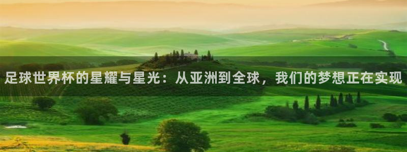 2006世界杯：足球世界杯的星耀与星光：从亚洲到全球，我们的梦想正在实现