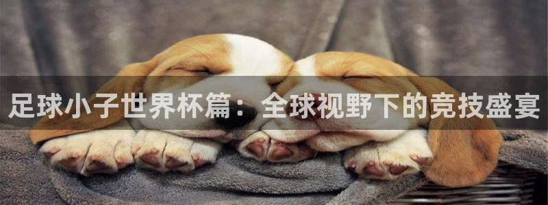 世界杯亚洲区预选赛赛程表：足球小子世界杯篇：全球视野下的竞技盛宴