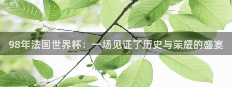 世界杯女足直播：98年法国世界杯：一场见证了历史与荣耀的盛宴
