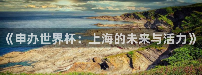 美洲杯直播：《申办世界杯：上海的未来与活力》
