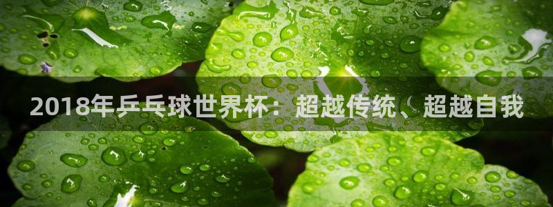 世界杯预选赛赛程：2018年乒乓球世界杯：超越传统、超越自我