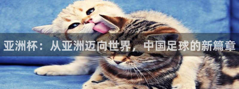 2006年世界杯：亚洲杯：从亚洲迈向世界，中国足球的新篇章