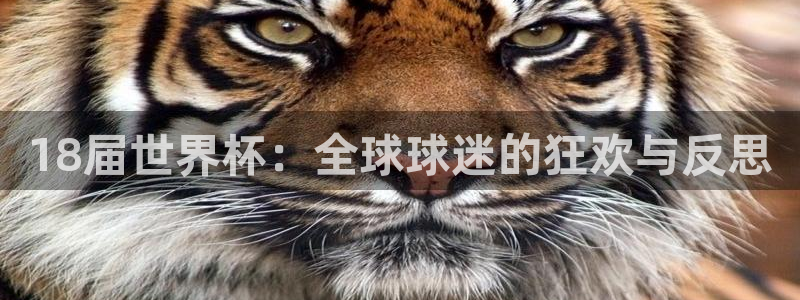 世界杯赛程时间表：18届世界杯：全球球迷的狂欢与反思