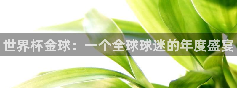 世界杯时间：世界杯金球：一个全球球迷的年度盛宴