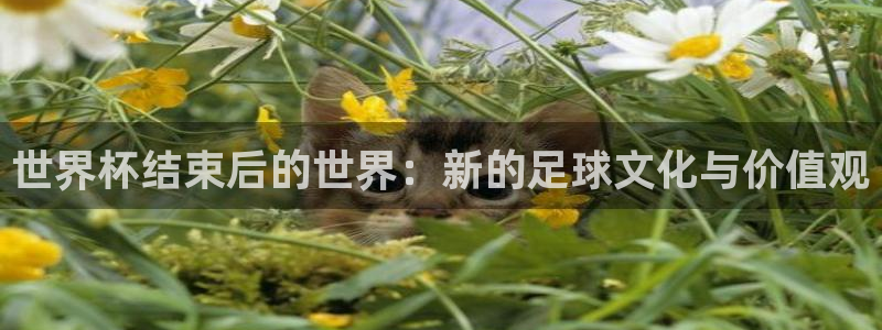 世预赛免费直播入口：世界杯结束后的世界：新的足球文化与价值观