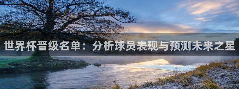 世界杯16强赛程表：世界杯晋级名单：分析球员表现与预测未来之星