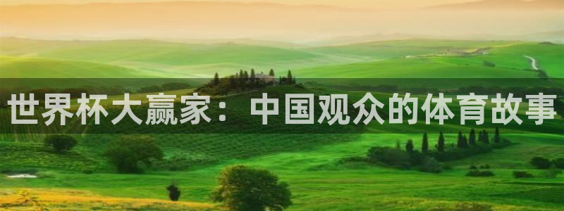 2026世界杯亚洲预选赛赛程：世界杯大赢家：中国观众的体育故事