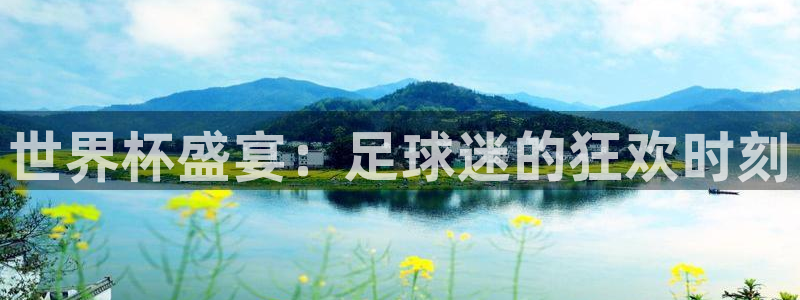 亚洲区世界杯预选赛：世界杯盛宴：足球迷的狂欢时刻